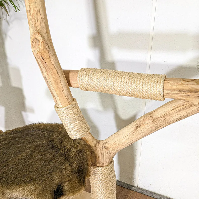 RESERVIERT - Naturkratzbaum 4477 Kratzbaum Natur Holz Design 140 cm hoch Katzenbaum