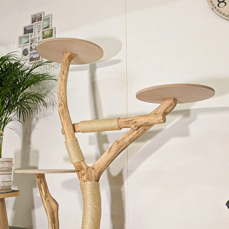 RESERVIERT - Naturkratzbaum 4477 Kratzbaum Natur Holz Design 140 cm hoch Katzenbaum