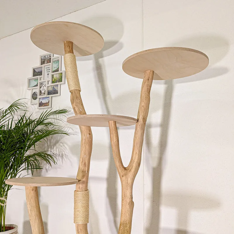 Naturkratzbaum 4473 Kratzbaum Natur Holz Design 195 cm hoch Katzenbaum