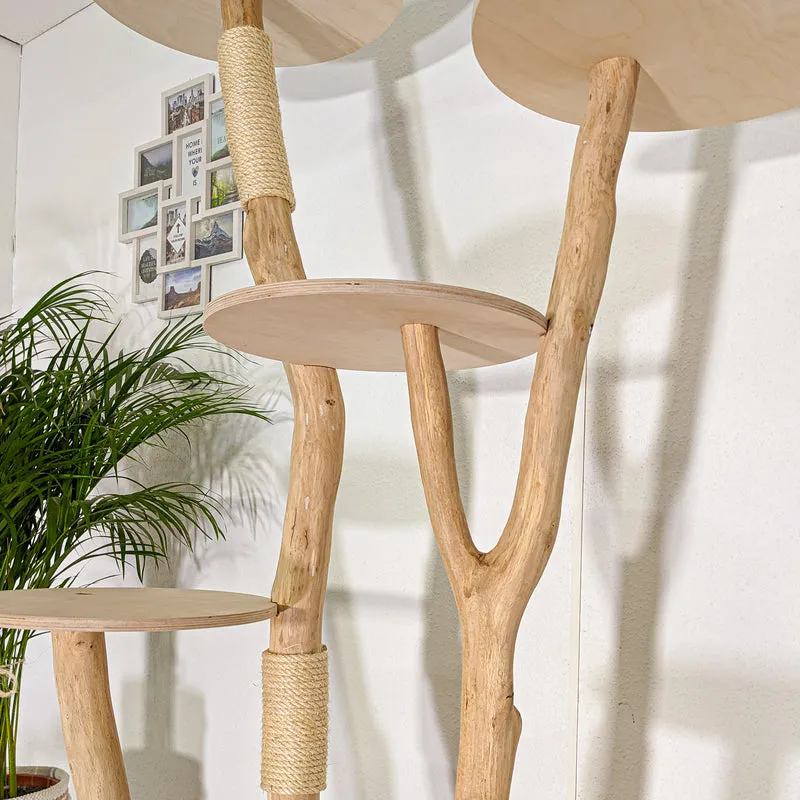 Naturkratzbaum 4473 Kratzbaum Natur Holz Design 195 cm hoch Katzenbaum