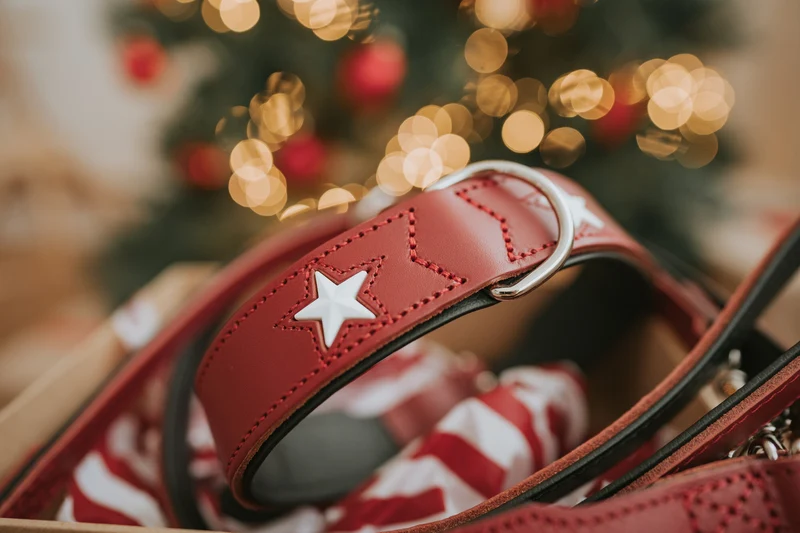 MAGIC STAR Set Halsband & Leine | rot