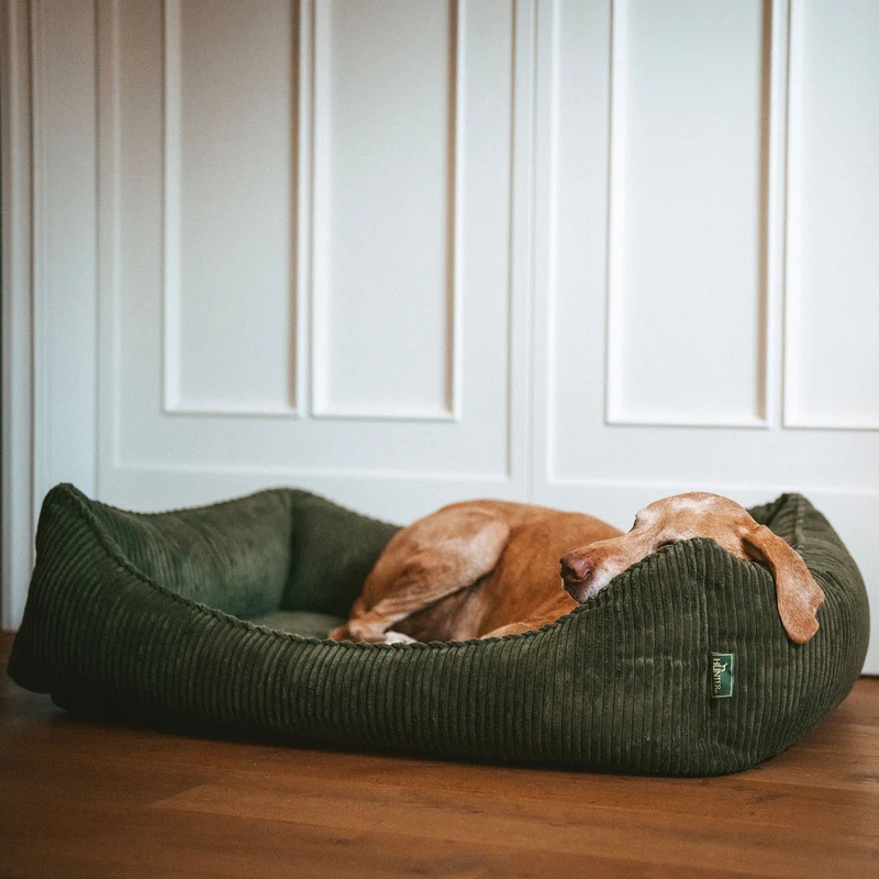 Orthopädisches/Ergonomisches Hundesofa Corbie