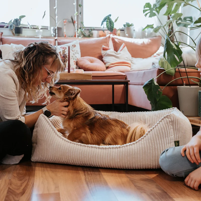 Orthopädisches/Ergonomisches Hundesofa Corbie