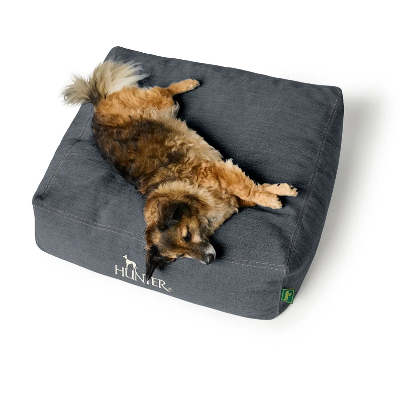 Orthopädisches/Ergonomisches Hundekissen Rotterdam