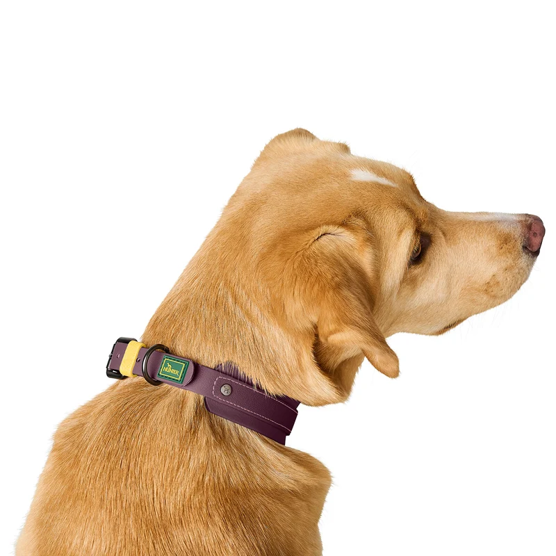 Halsband Havanna