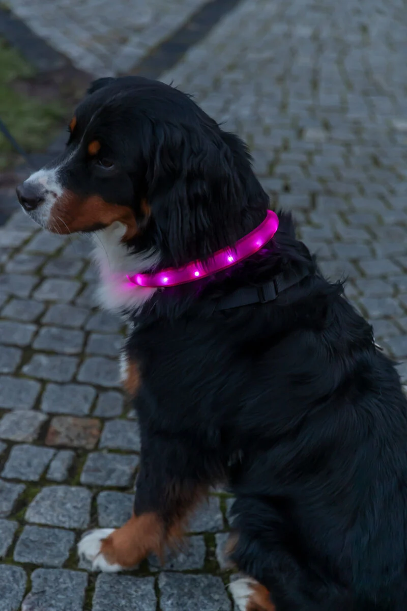 Flash Leuchtband USB, extra breit