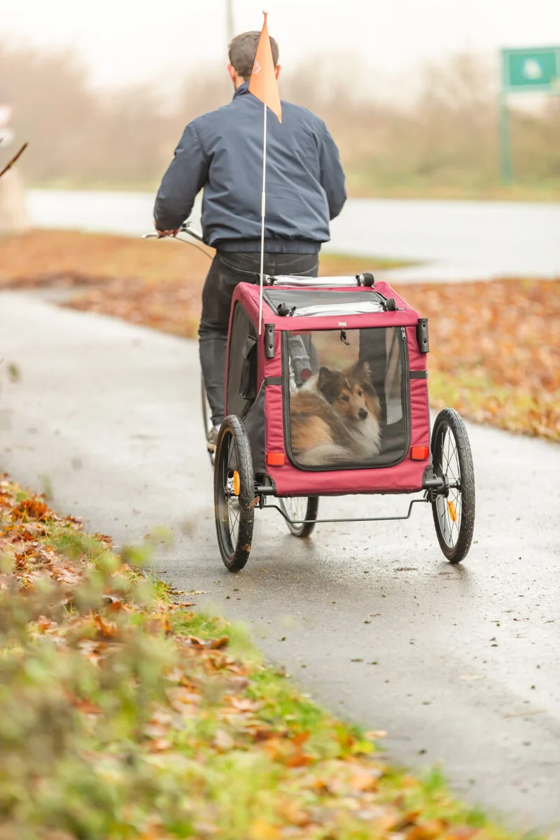 Fahrradanhänger für Hunde