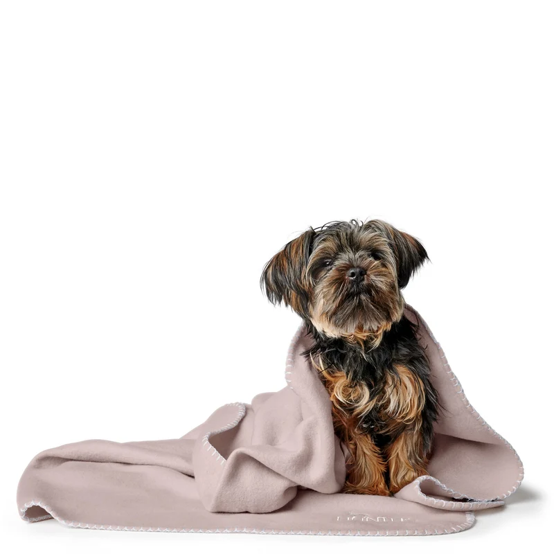 Hundedecke Casper