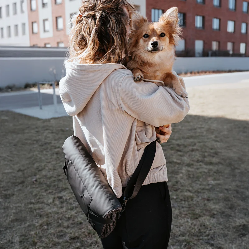 Faltbare Hunde-Reisedecke Seoul