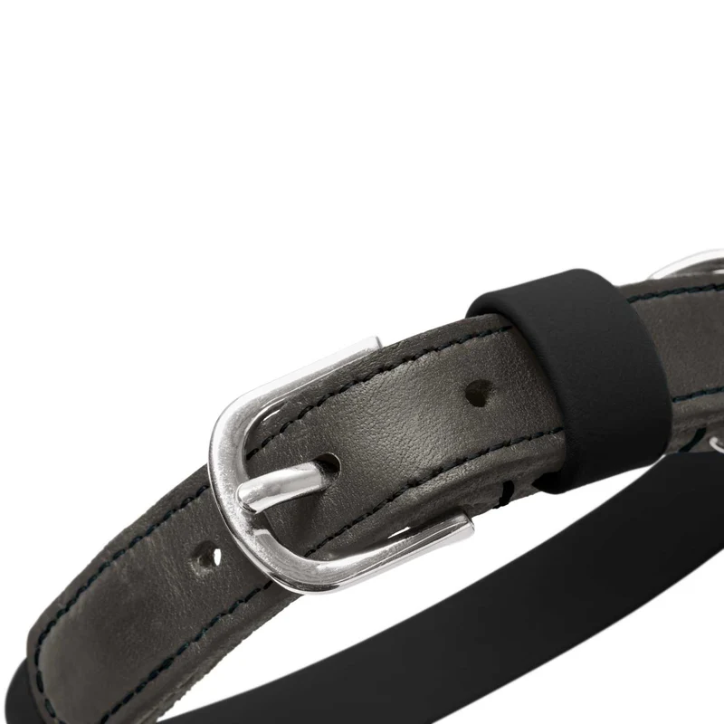 Halsband Wolmar BioThane® x Leder