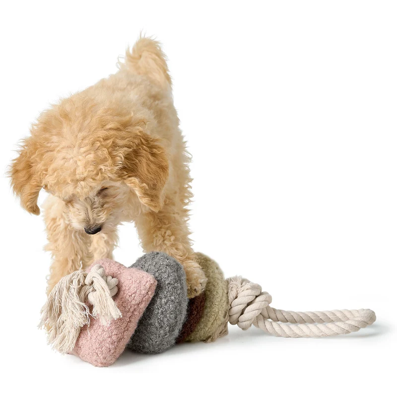 Hundespielzeug Madrid mit Tau