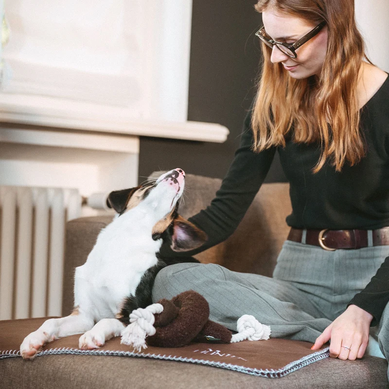 Hundespielzeug Madrid mit Tau