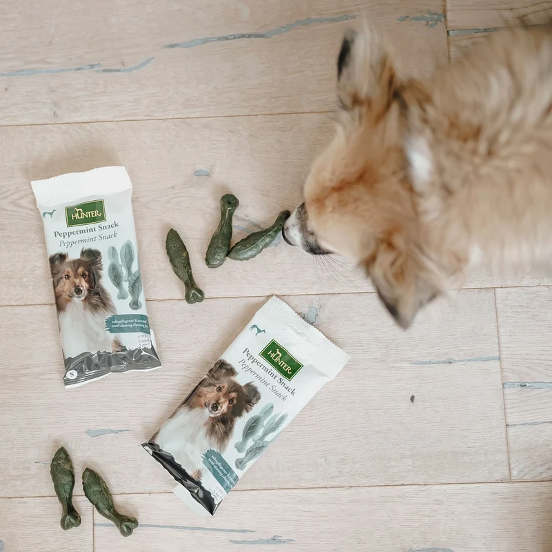 Hundesnack Peppermint Snack