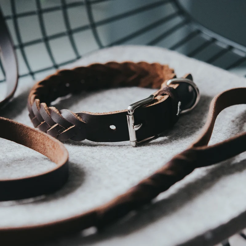 Halsband Solid Education Special