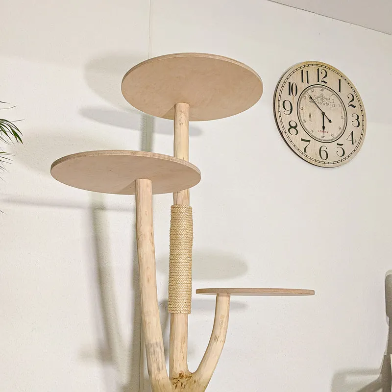 Naturkratzbaum 4470 Kratzbaum Natur Holz Design 160 cm hoch Katzenbaum