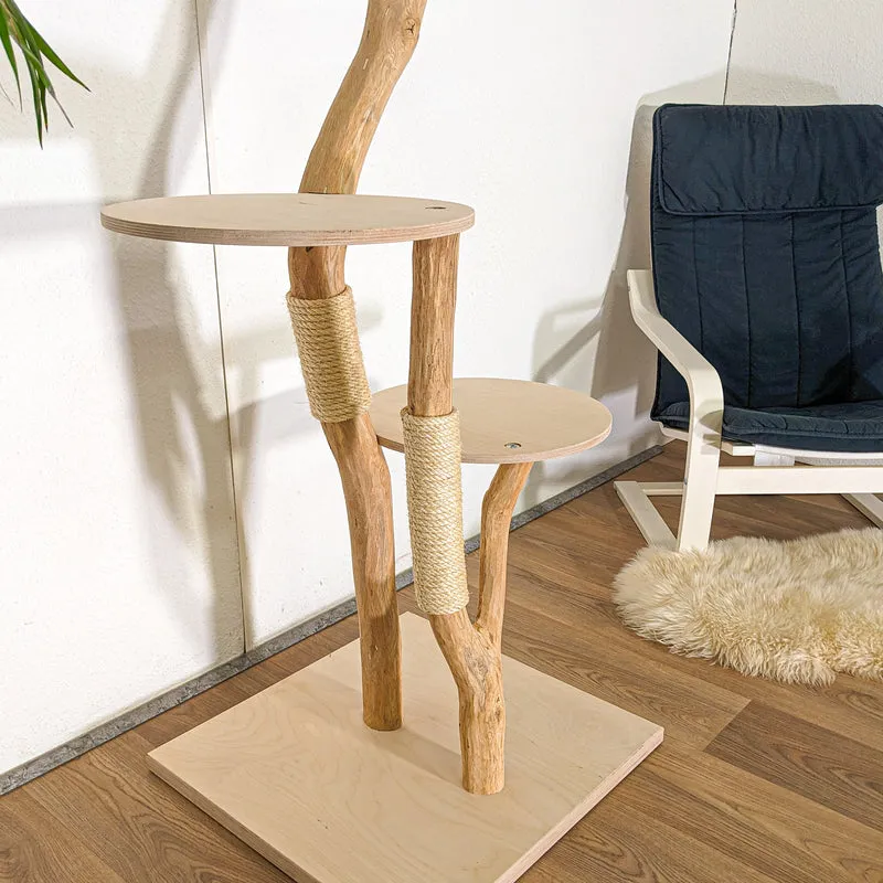 RESERVIERT - Naturkratzbaum 4481 Kratzbaum Natur Holz Design 160 cm hoch Katzenbaum