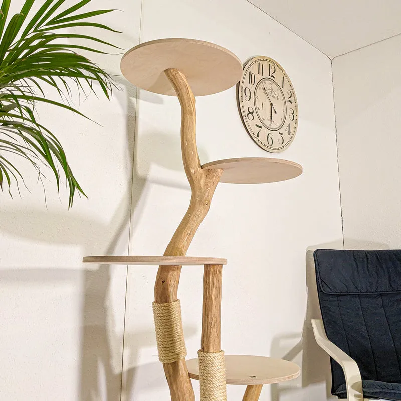 RESERVIERT - Naturkratzbaum 4481 Kratzbaum Natur Holz Design 160 cm hoch Katzenbaum