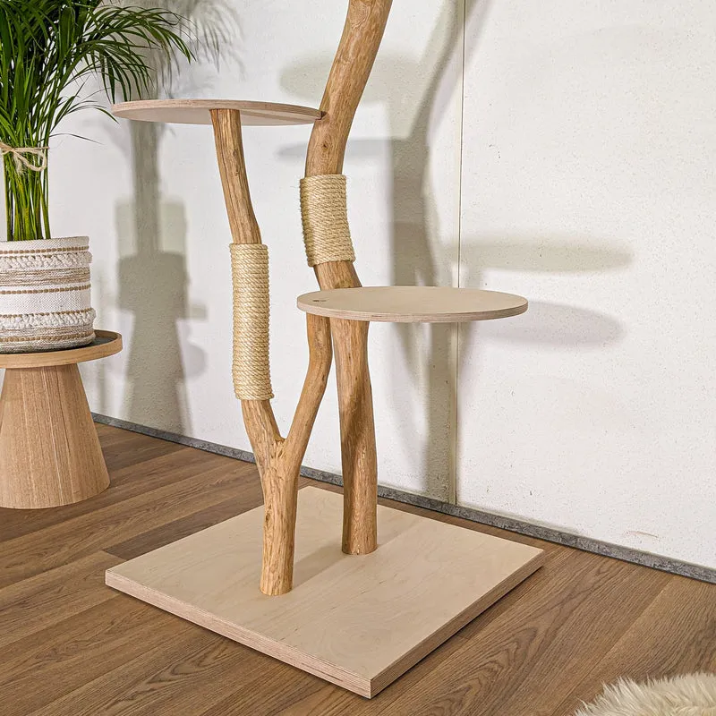 RESERVIERT - Naturkratzbaum 4481 Kratzbaum Natur Holz Design 160 cm hoch Katzenbaum