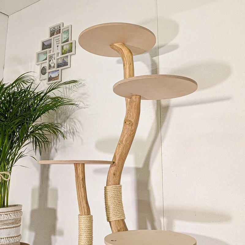 RESERVIERT - Naturkratzbaum 4481 Kratzbaum Natur Holz Design 160 cm hoch Katzenbaum