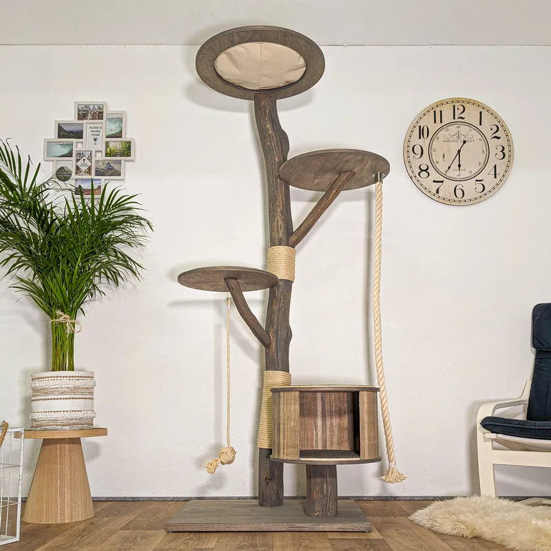 RESERVIERT - Naturkratzbaum 4375 Kratzbaum Natur Holz Design 200 cm hoch Katzenbaum