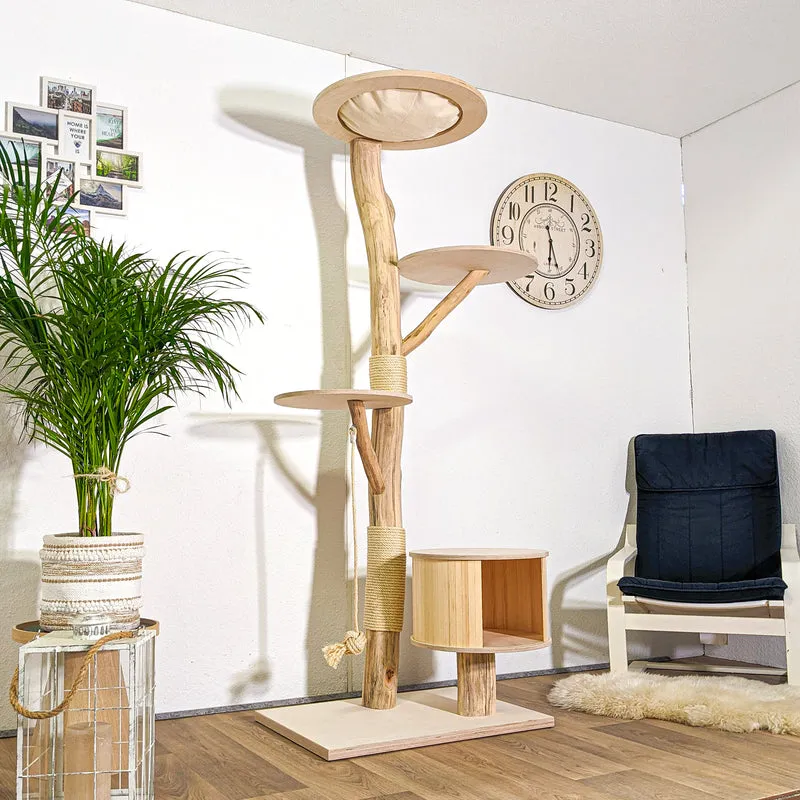 RESERVIERT - Naturkratzbaum 4375 Kratzbaum Natur Holz Design 200 cm hoch Katzenbaum