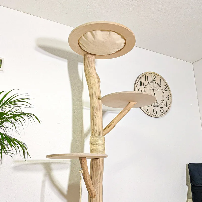 RESERVIERT - Naturkratzbaum 4375 Kratzbaum Natur Holz Design 200 cm hoch Katzenbaum