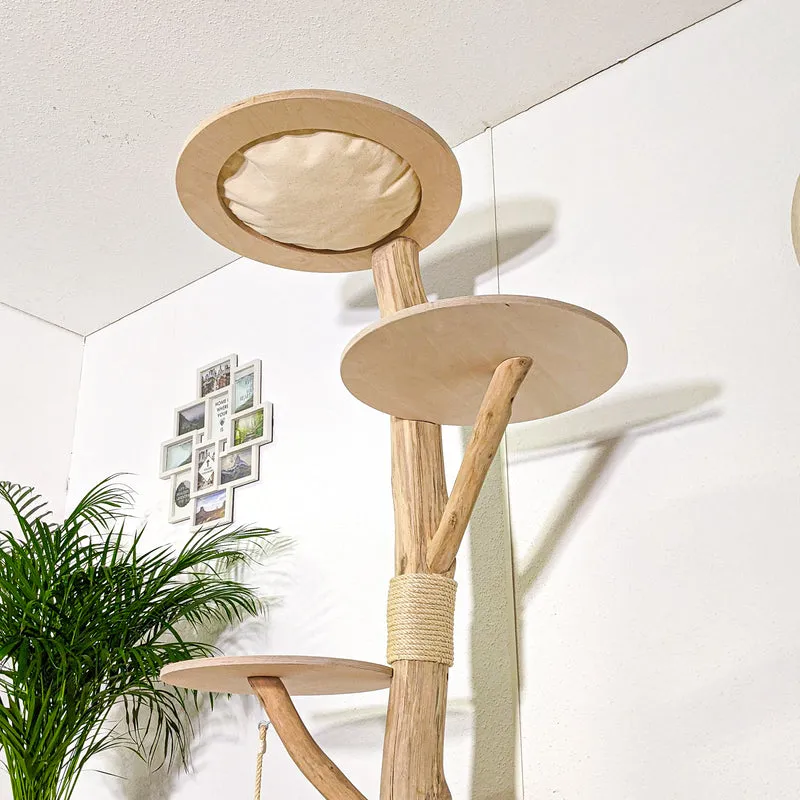 RESERVIERT - Naturkratzbaum 4375 Kratzbaum Natur Holz Design 200 cm hoch Katzenbaum
