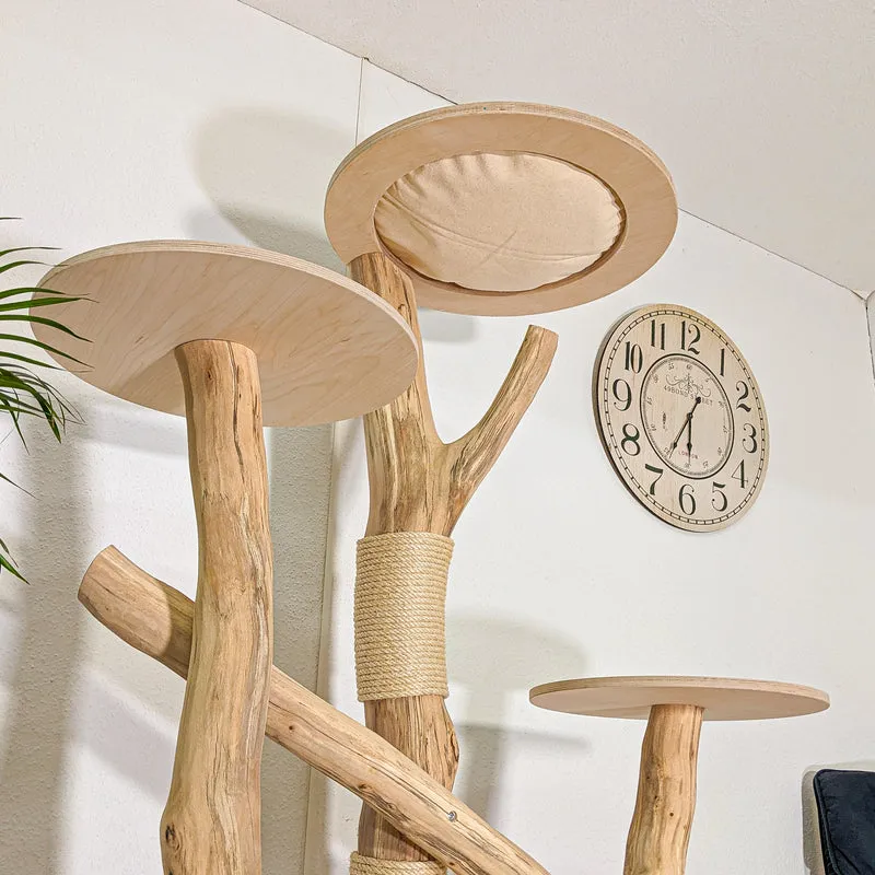 RESERVIERT - Naturkratzbaum 4453 Kratzbaum Natur Holz Design 180 cm hoch Katzenbaum