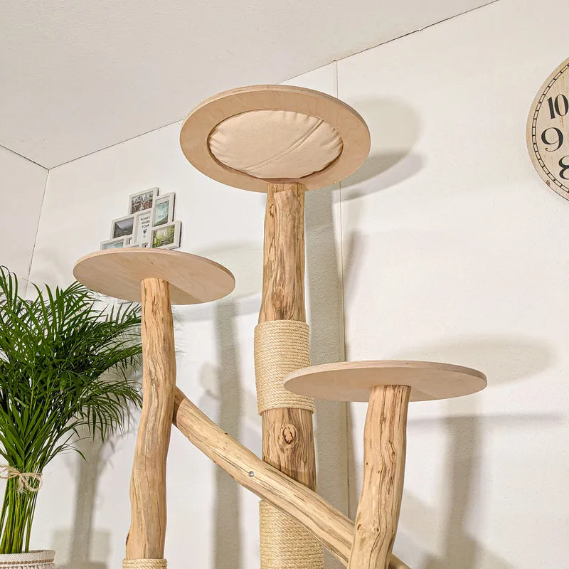 RESERVIERT - Naturkratzbaum 4453 Kratzbaum Natur Holz Design 180 cm hoch Katzenbaum
