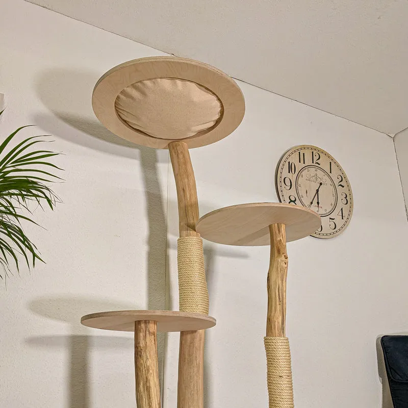 RESERVIERT - ABHOLUNG - Naturkratzbaum 4452 Kratzbaum Natur Holz Design 175 cm hoch Katzenbaum