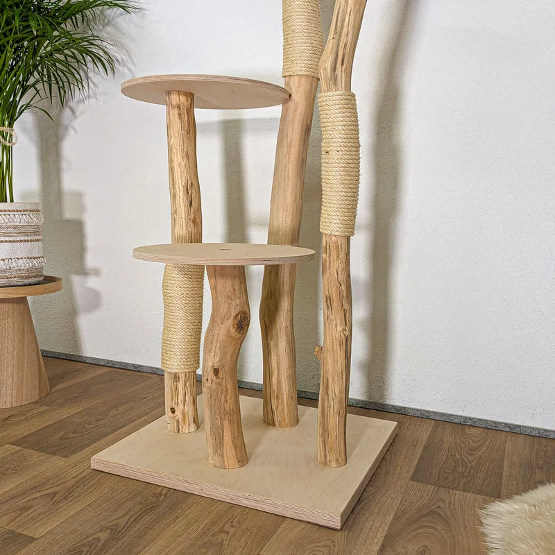 RESERVIERT - ABHOLUNG - Naturkratzbaum 4452 Kratzbaum Natur Holz Design 175 cm hoch Katzenbaum