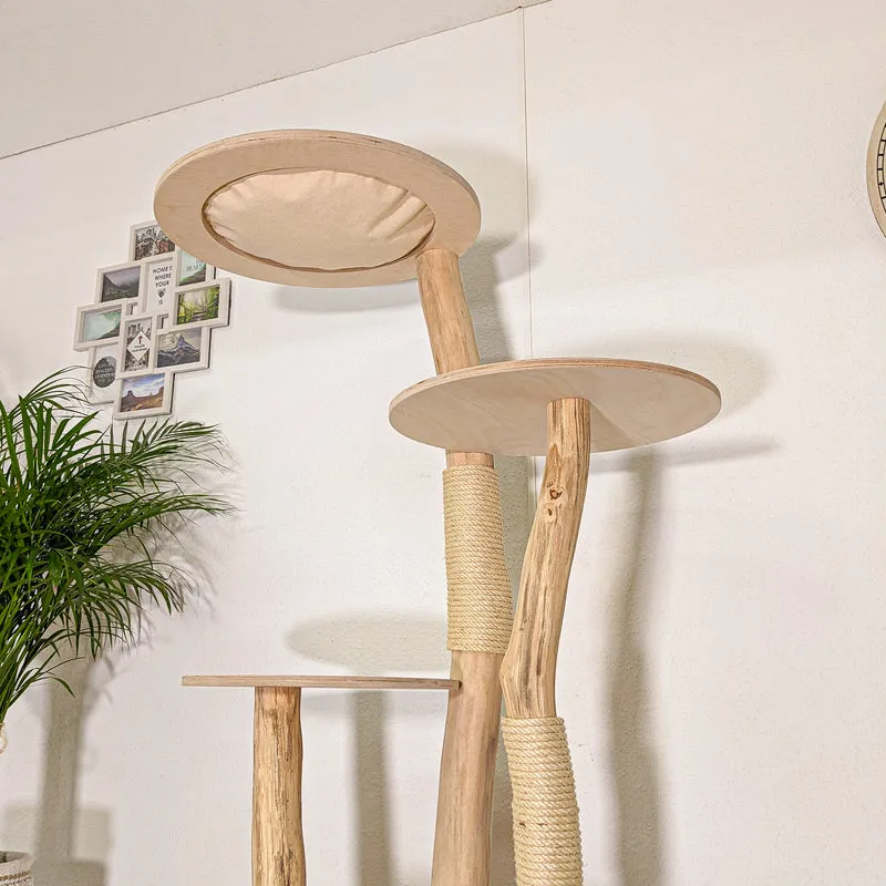 RESERVIERT - ABHOLUNG - Naturkratzbaum 4452 Kratzbaum Natur Holz Design 175 cm hoch Katzenbaum