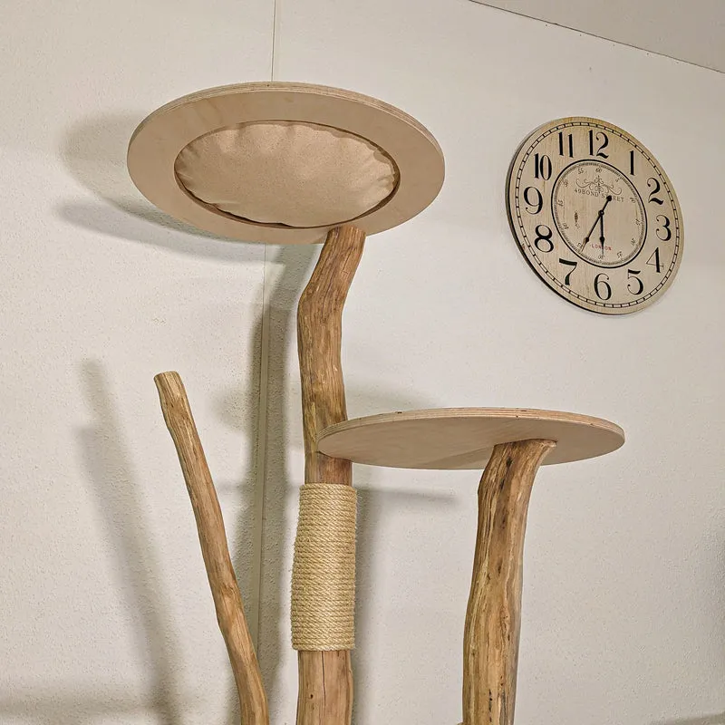 Naturkratzbaum 4451 Kratzbaum Natur Holz Design 155 cm hoch Katzenbaum