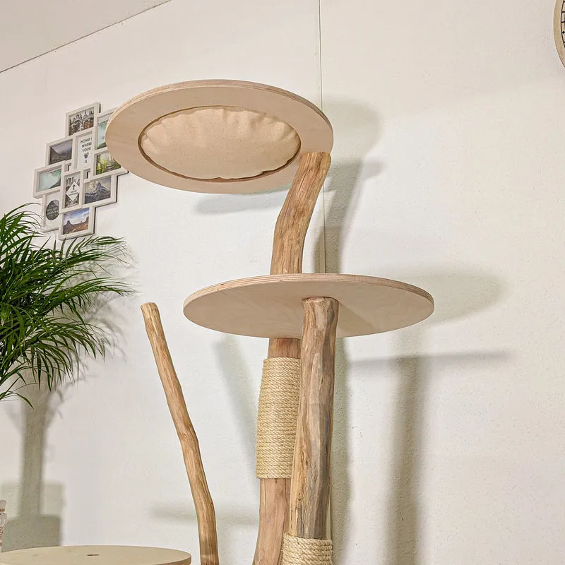 Naturkratzbaum 4451 Kratzbaum Natur Holz Design 155 cm hoch Katzenbaum
