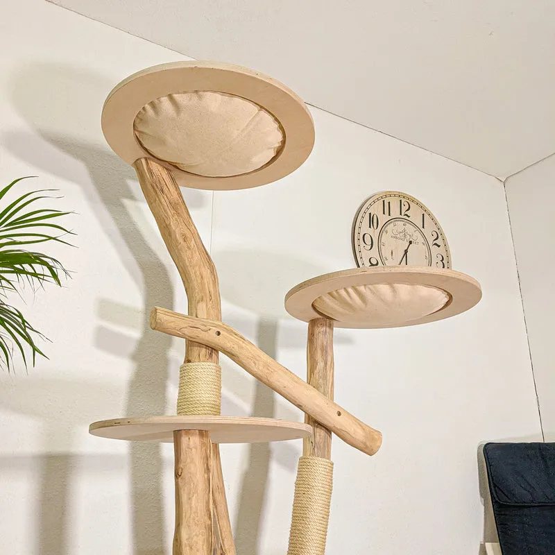 RESERVIERT - Naturkratzbaum 4448 Kratzbaum Natur Holz Design 175 cm hoch Katzenbaum