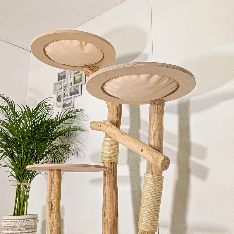RESERVIERT - Naturkratzbaum 4448 Kratzbaum Natur Holz Design 175 cm hoch Katzenbaum