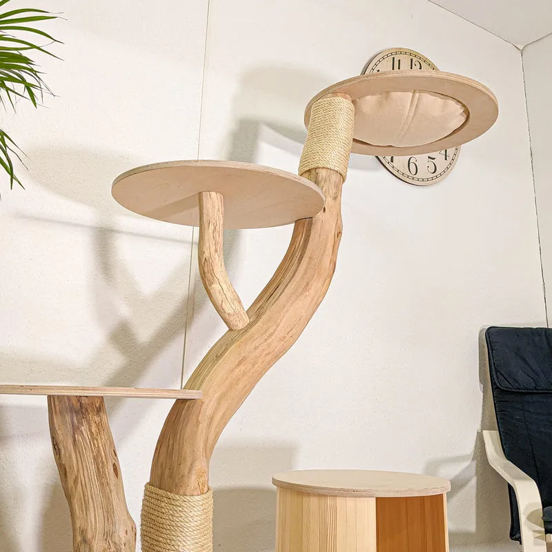 Naturkratzbaum 4447 Kratzbaum Natur Holz Design 155 cm hoch Katzenbaum