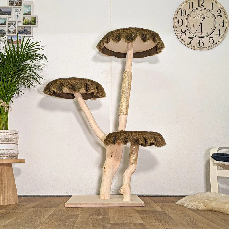RESERVIERT - Naturkratzbaum 4446 Kratzbaum Natur Holz Design 148 cm hoch Katzenbaum
