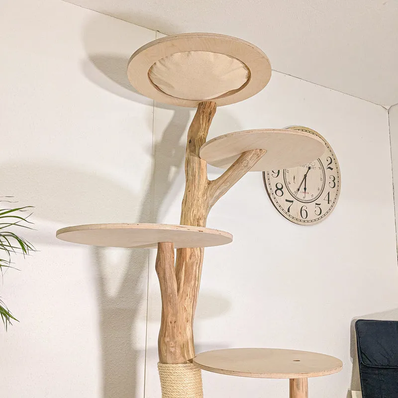 Naturkratzbaum 4444 Kratzbaum Natur Holz Design 205 cm hoch Katzenbaum