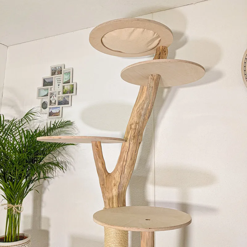 Naturkratzbaum 4444 Kratzbaum Natur Holz Design 205 cm hoch Katzenbaum