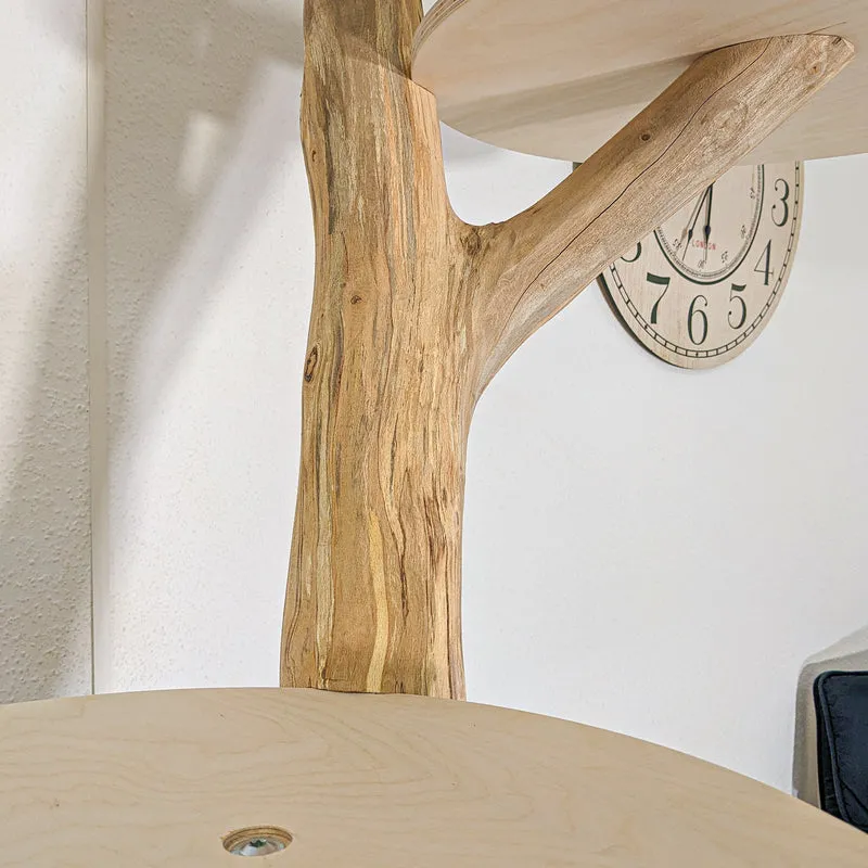 Naturkratzbaum 4444 Kratzbaum Natur Holz Design 205 cm hoch Katzenbaum
