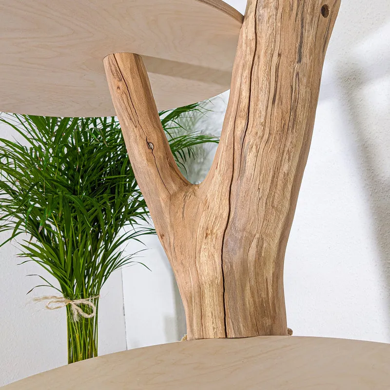 Naturkratzbaum 4444 Kratzbaum Natur Holz Design 205 cm hoch Katzenbaum