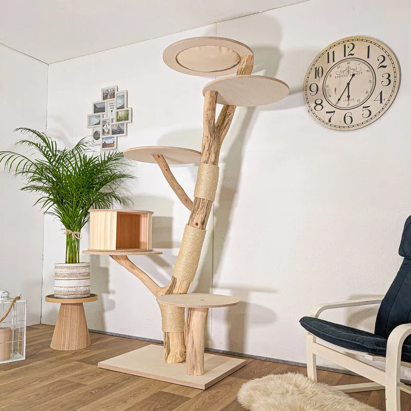 Naturkratzbaum 4443 Kratzbaum Natur Holz Design 200 cm hoch Katzenbaum
