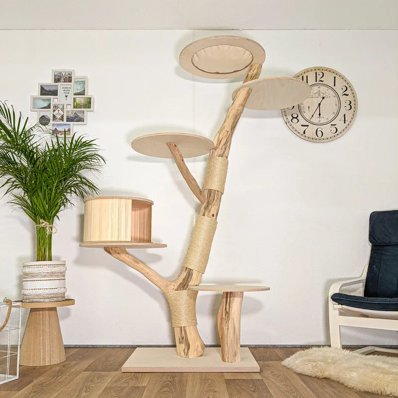 Naturkratzbaum 4443 Kratzbaum Natur Holz Design 200 cm hoch Katzenbaum