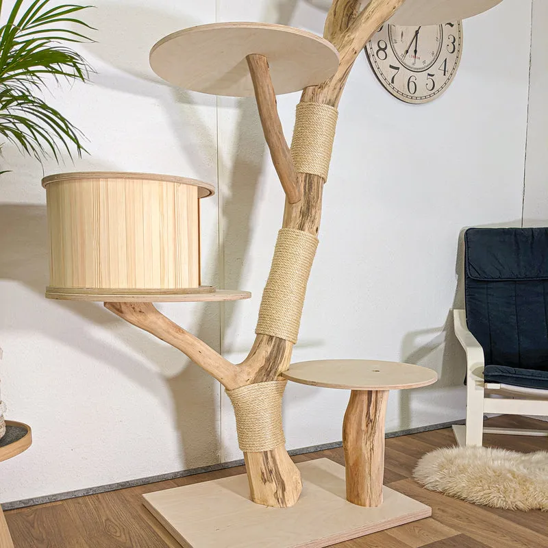Naturkratzbaum 4443 Kratzbaum Natur Holz Design 200 cm hoch Katzenbaum