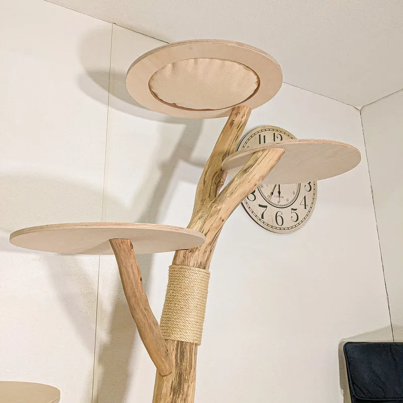 Naturkratzbaum 4443 Kratzbaum Natur Holz Design 200 cm hoch Katzenbaum