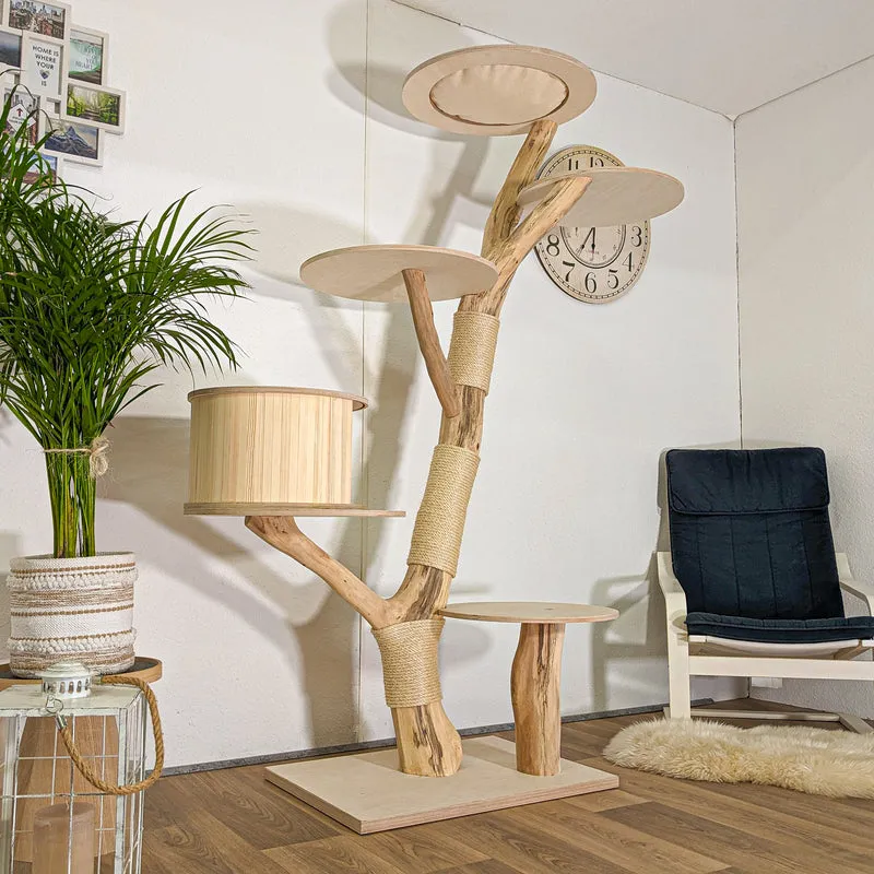 Naturkratzbaum 4443 Kratzbaum Natur Holz Design 200 cm hoch Katzenbaum