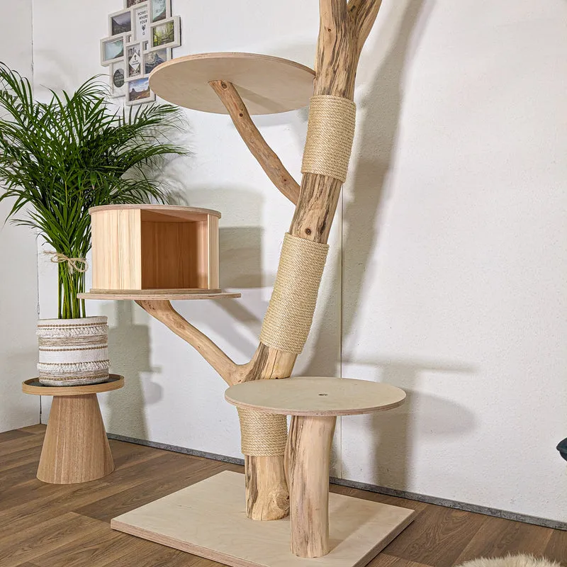 Naturkratzbaum 4443 Kratzbaum Natur Holz Design 200 cm hoch Katzenbaum