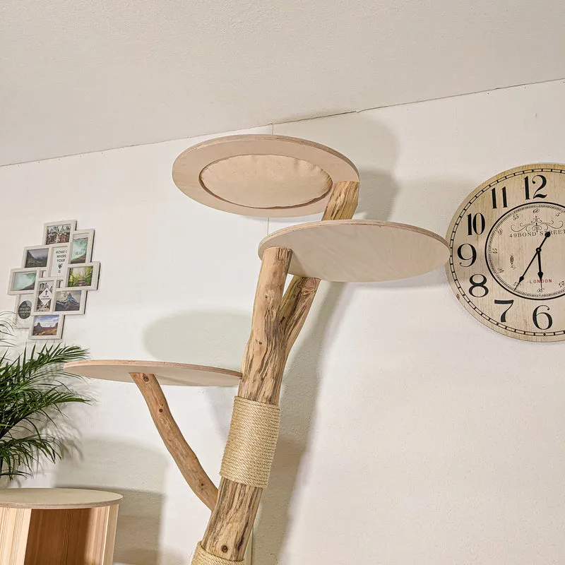 Naturkratzbaum 4443 Kratzbaum Natur Holz Design 200 cm hoch Katzenbaum