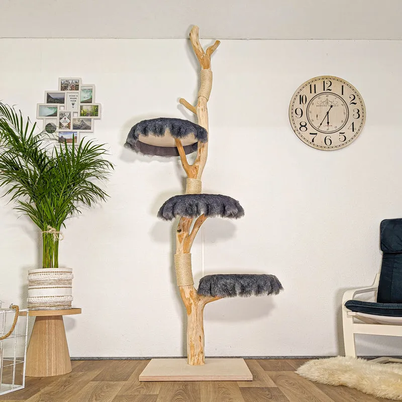 RESERVIERT - Naturkratzbaum 4442 Kratzbaum Natur Holz Design 240 cm hoch Katzenbaum